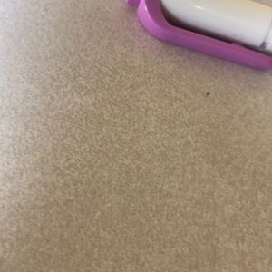 Meet your Posher, Teagan